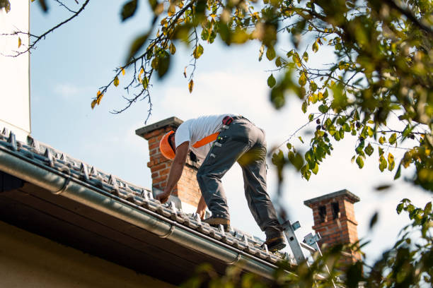 Best Storm Damage Roof Repair  in Csar Chvez, TX